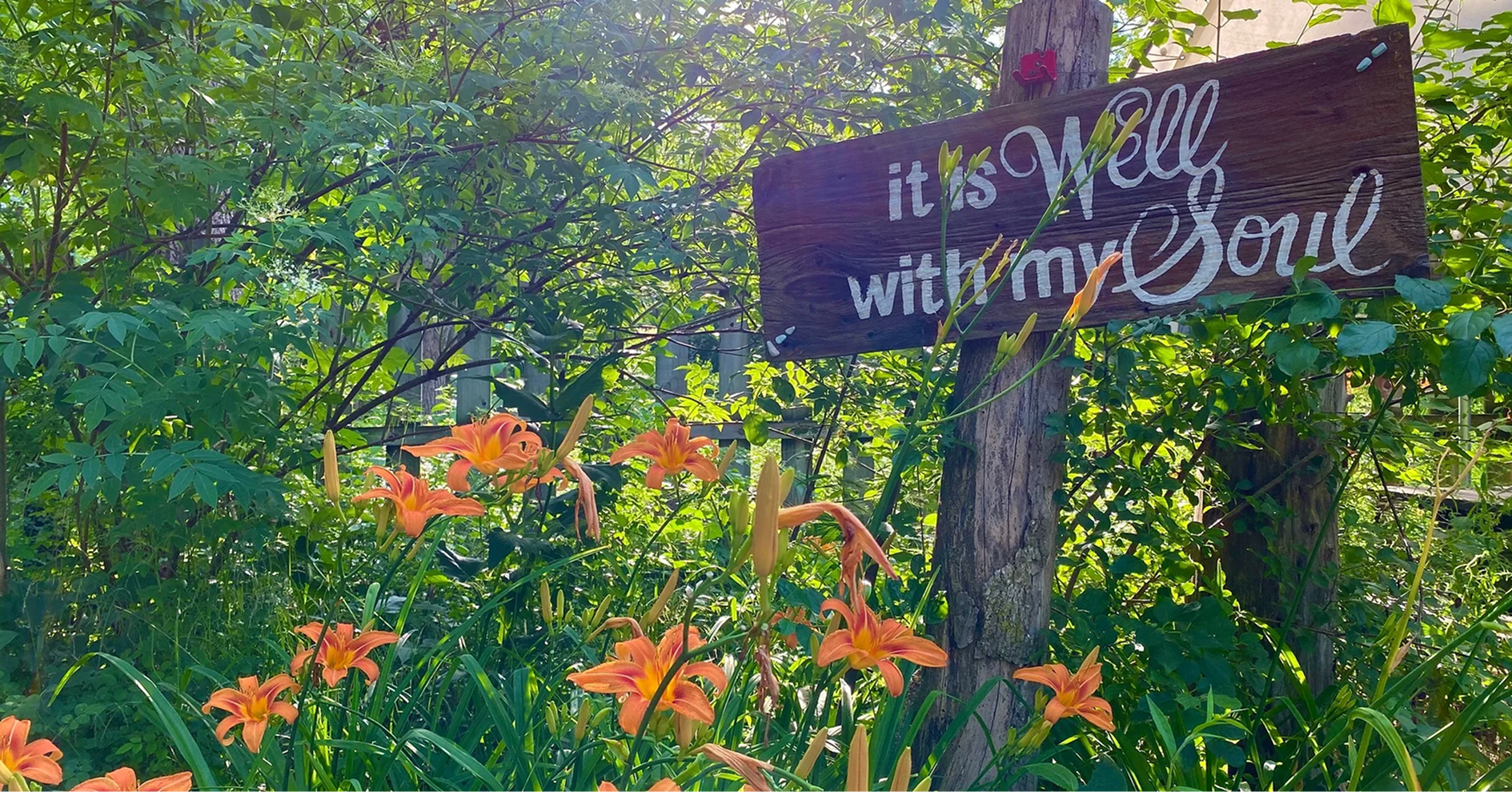 Late blooms along the garden path