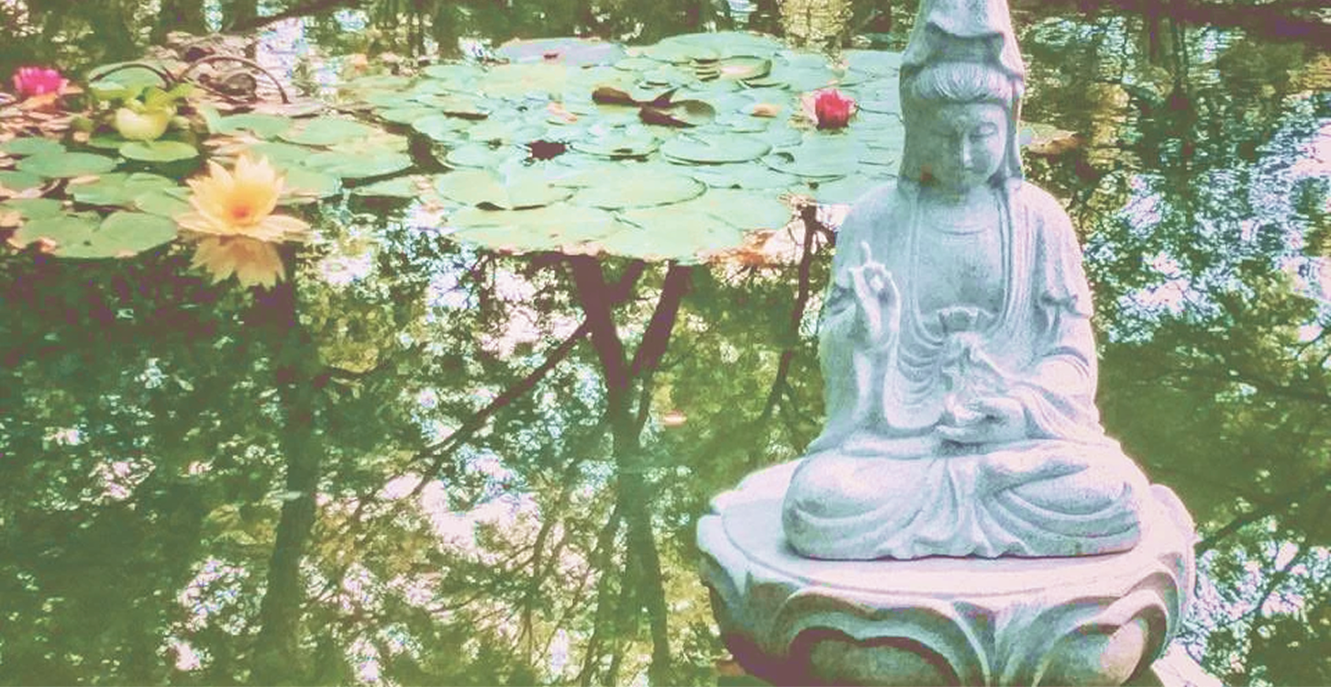 A stone Quan Yin statue beside the lily pond